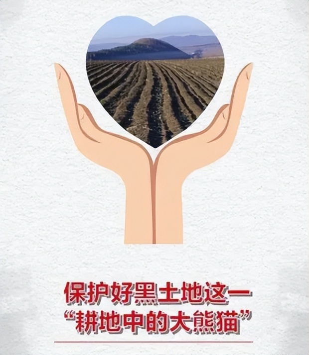 是谁在砸中国人的饭碗？400年才形成的黑土，4元一斤在网上被盗卖