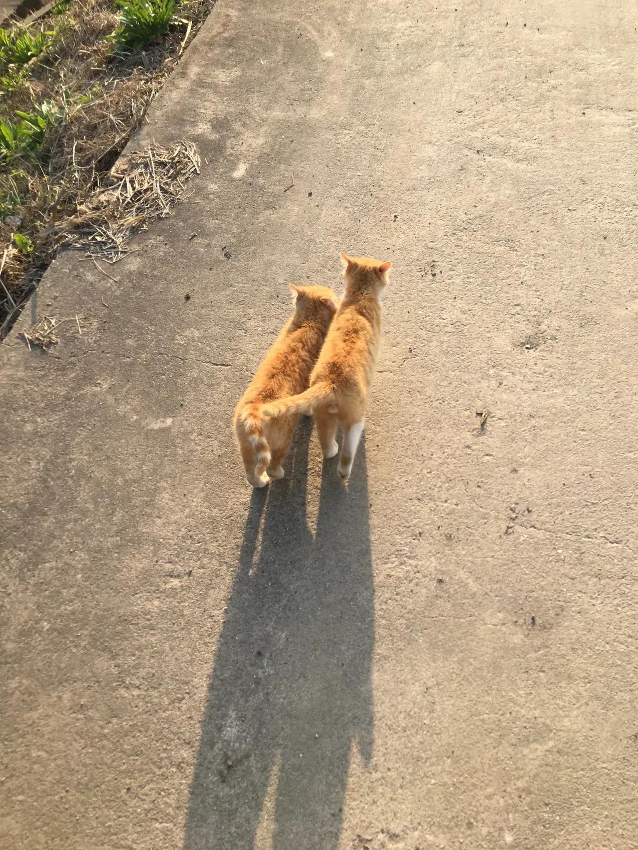 网络媒体显示用户IP属地就是明人不做暗事维系的就是网络言论诚信