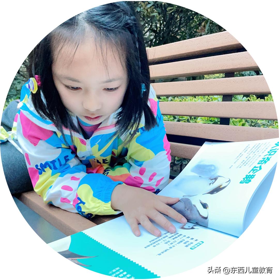 法布尔昆虫记立体书适合3-6岁儿童,法布尔昆虫记青少版必读