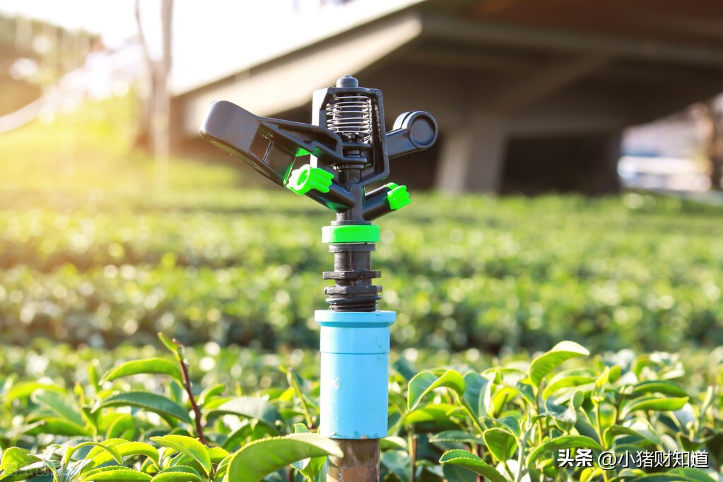 供销概念股一览表,蔚然成风组合介绍