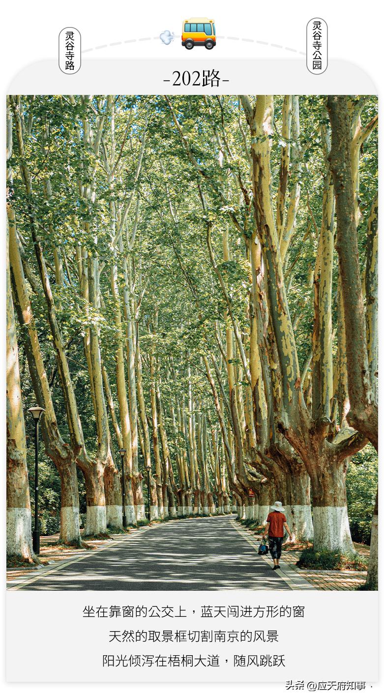 两千块钱在南京能做点啥生意,5万块钱在杭州能做点什么生意