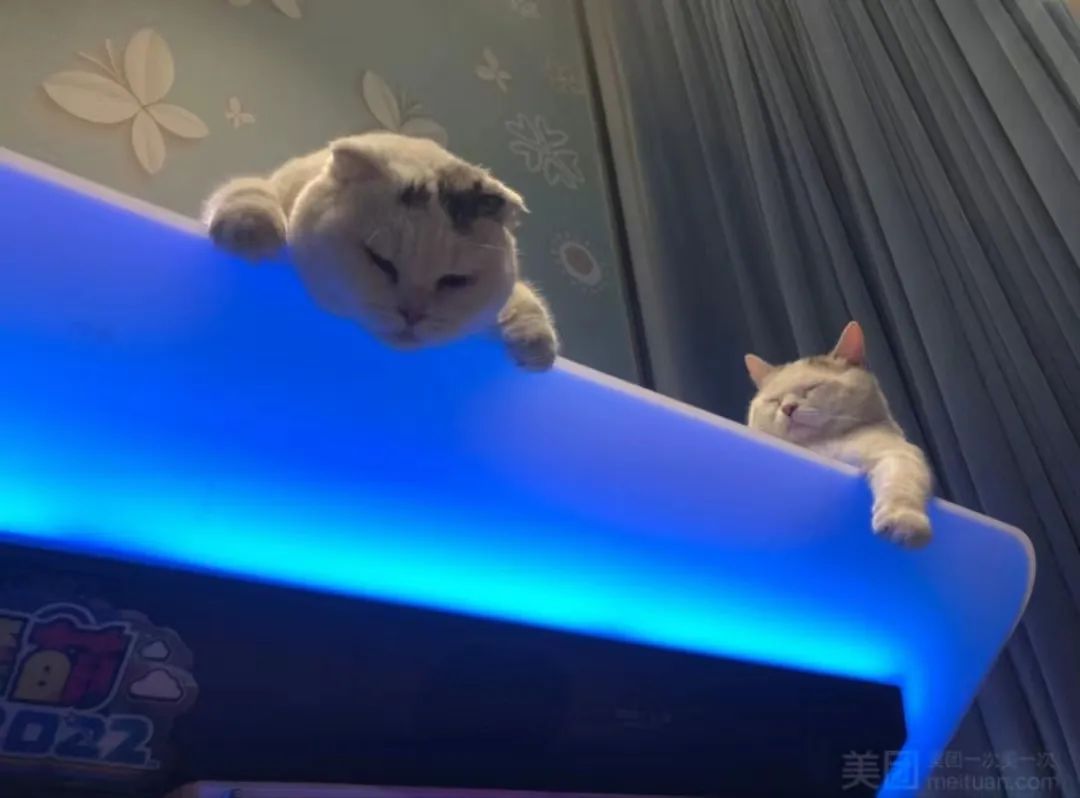 迁徙：被遗忘的音游人和街机店