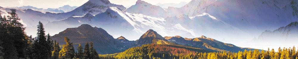 中国打破连续七个月减持美债状态,中国2022年1月份减持多少美债