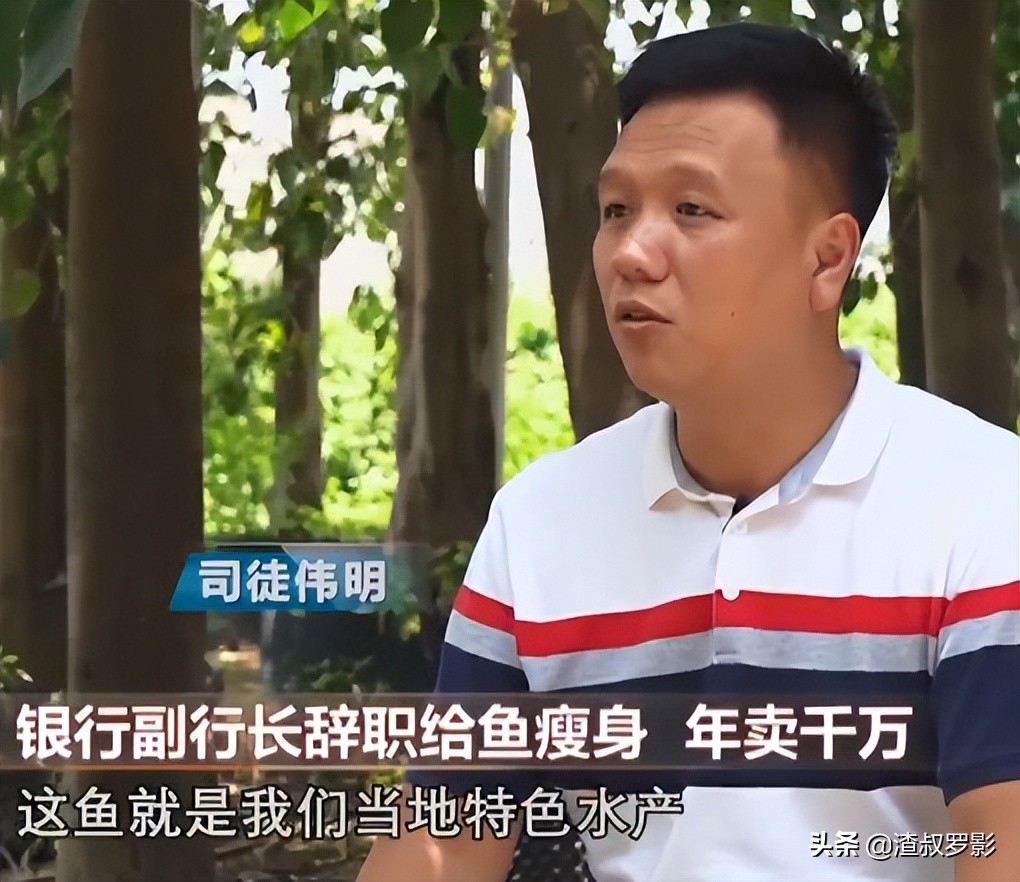 银行副行长辞职赚钱,中国银行副行长辞职