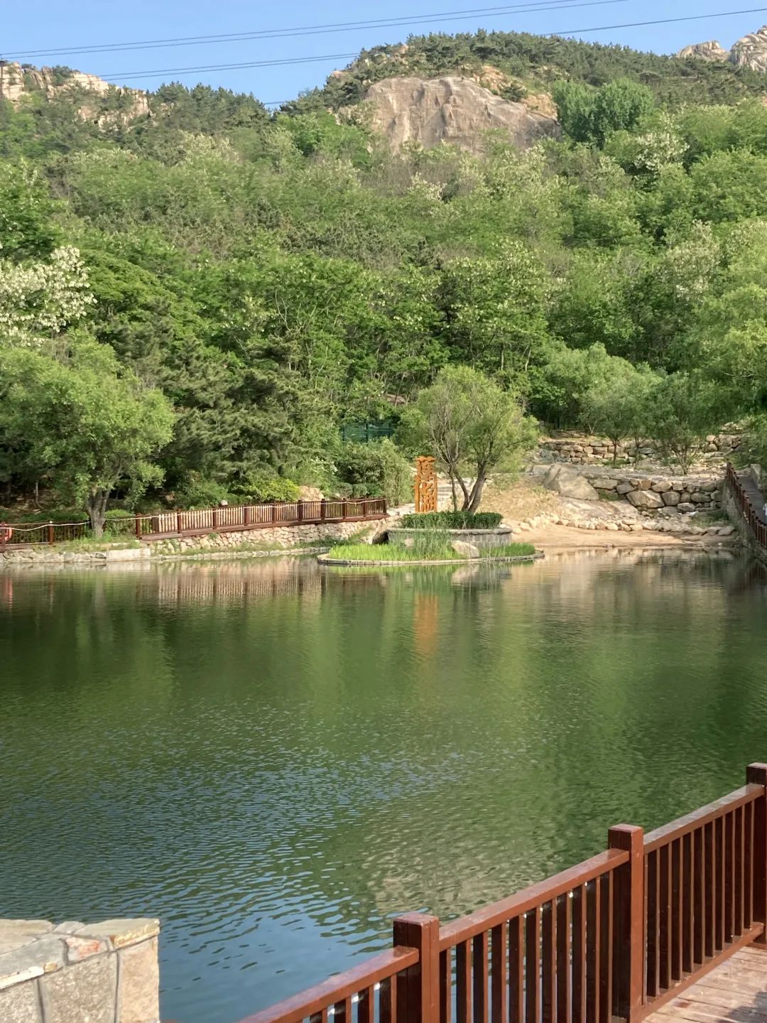 青岛浮山森林公园好玩吗,青岛浮山森林公园开放时间