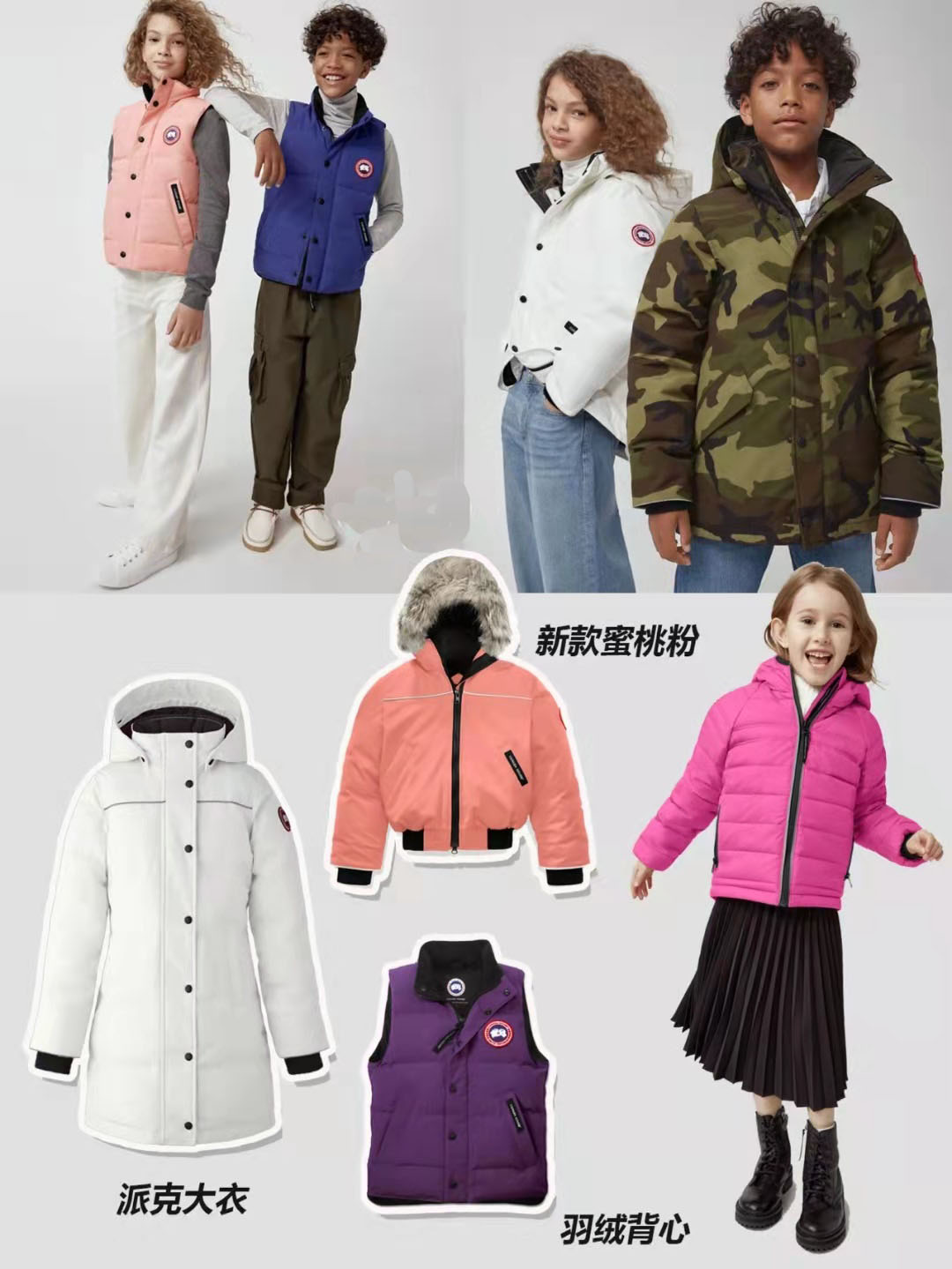 加拿大鹅北面始祖鸟羽绒服,始祖鸟和加拿大鹅哪个高档