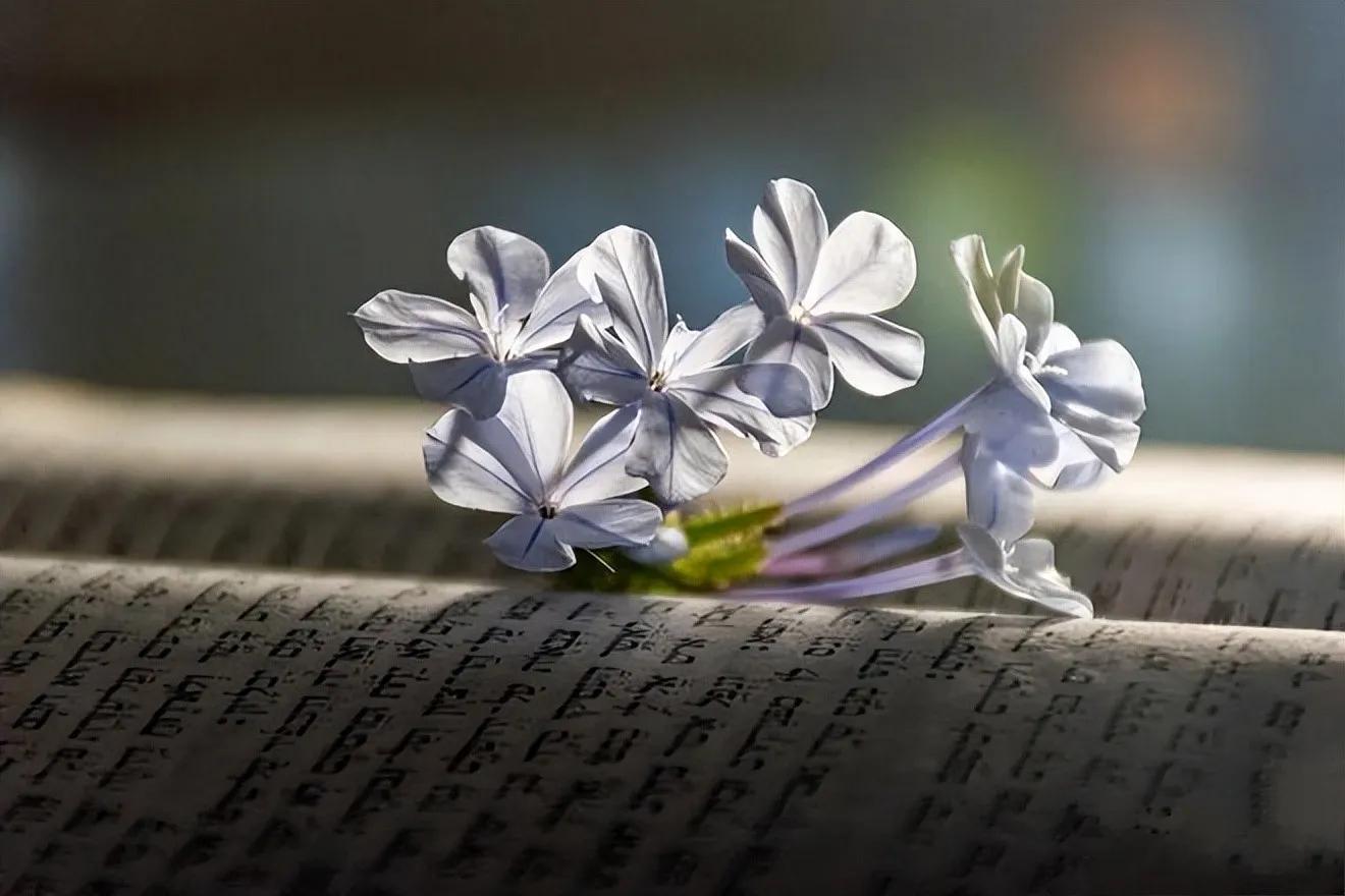 王羲之兰亭序高中语文,王羲之兰亭序行书入门基础