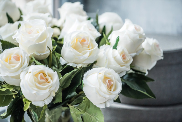 刚谈恋爱时送花说什么,什么时候给女朋友送花最合适