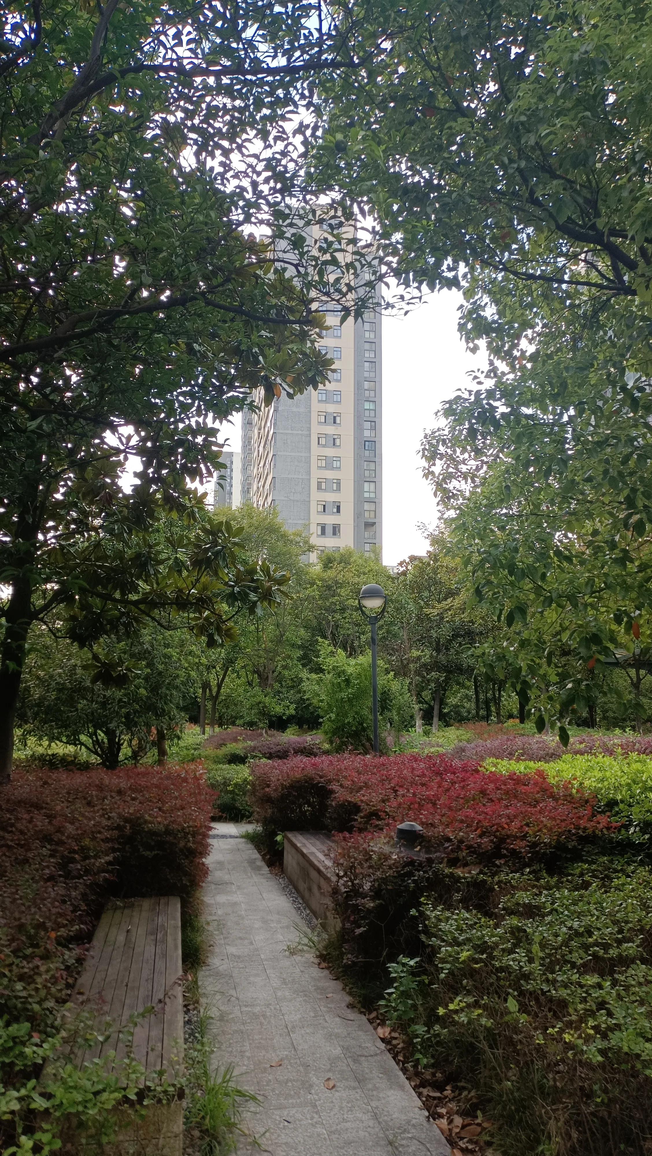 阴虚气血两虚或阴虚火旺怎么办,阴虚血热和阴虚火旺有什么区别