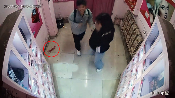 两女孩半夜偷东西,两女子偷成人物品后续