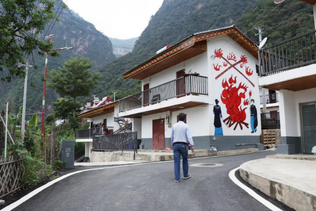 东西部协作助力乡村振兴,东西部地区协同发展项目