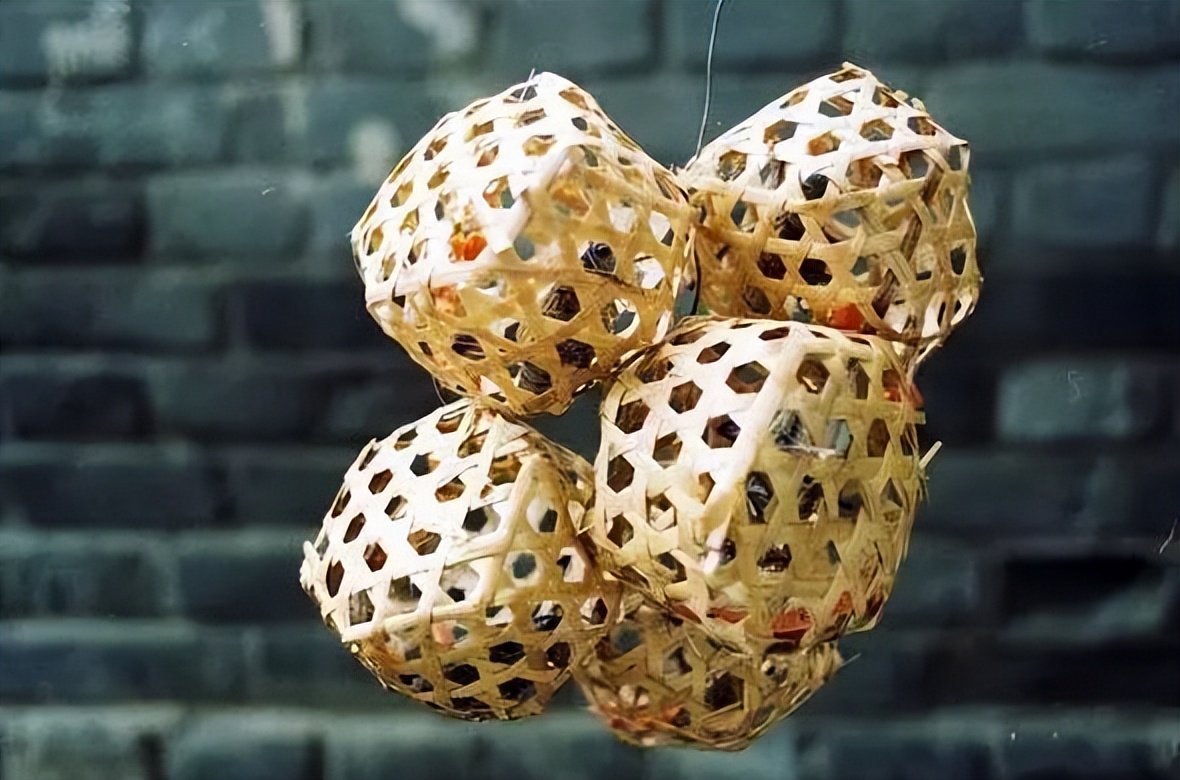 养猫养狗都养不活,养狗养猫养蜘蛛