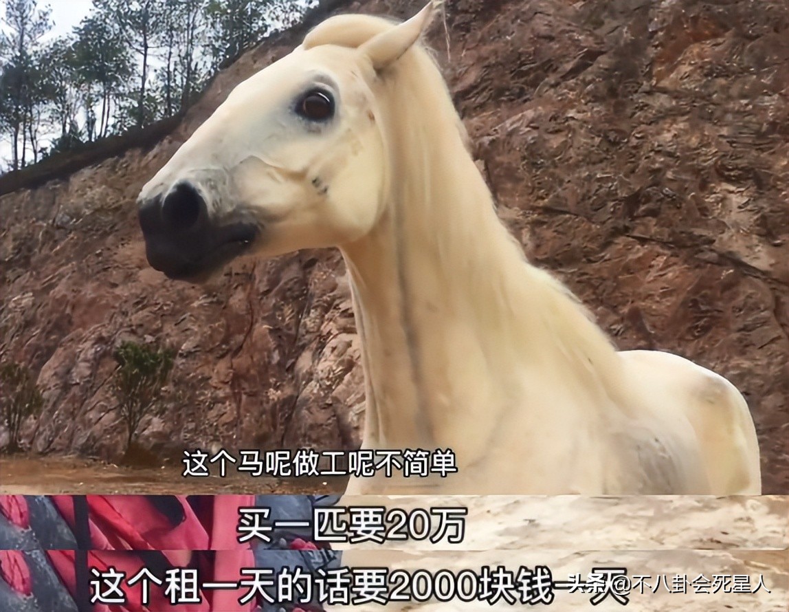 剧组为了省钱请大学生当群演,剧组节约成本演员不够跑龙套