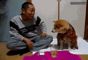 我想问一下这到底是足球还是篮球呢？这电棒是干什么用的