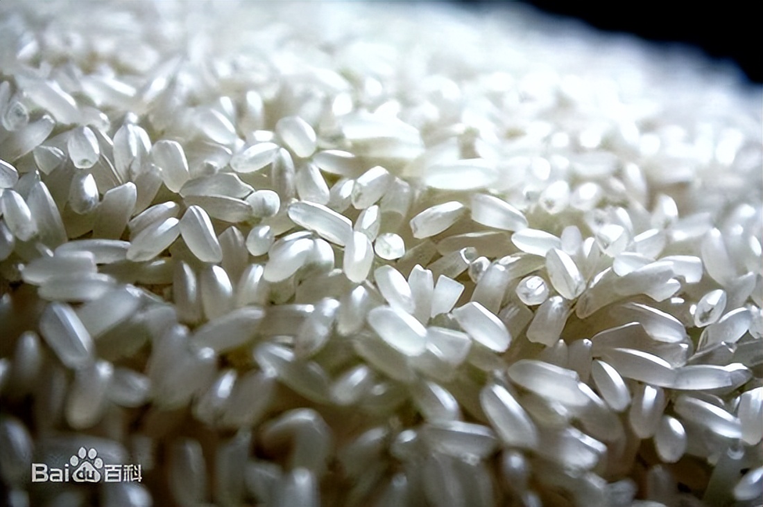 哈尔滨松北区潜力大么,松北区未来规划