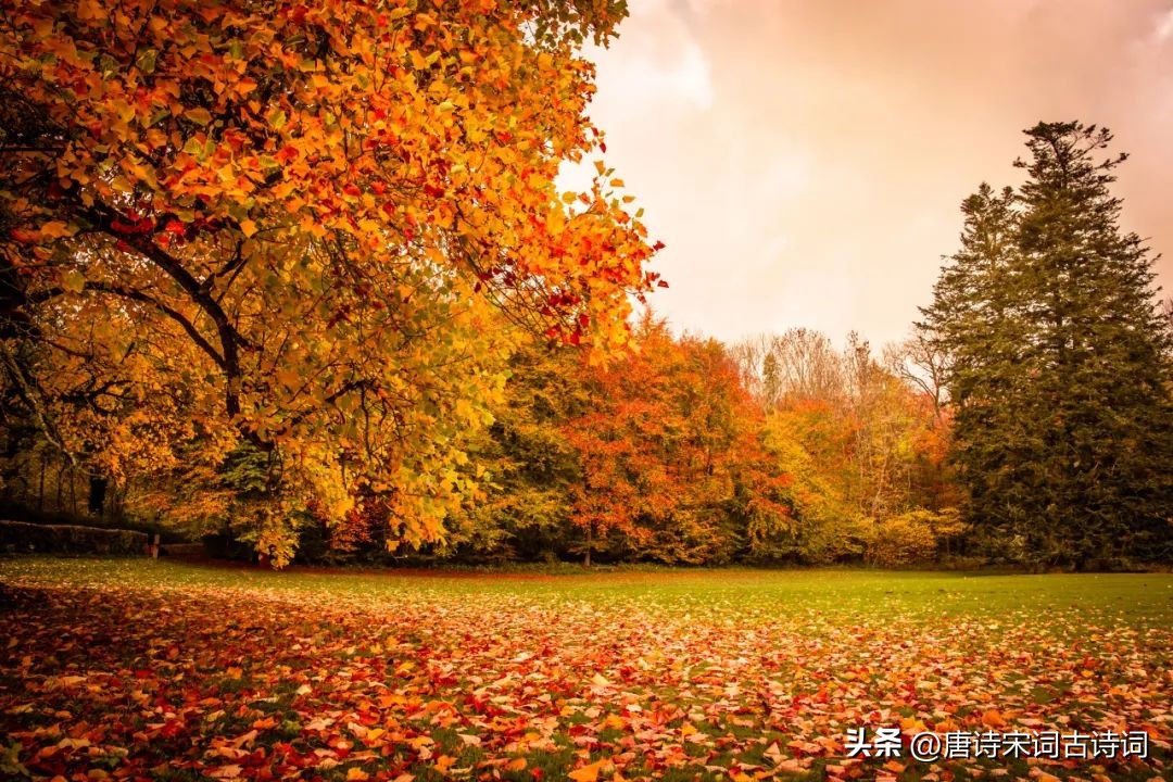 离人心上秋，不见君惟余愁