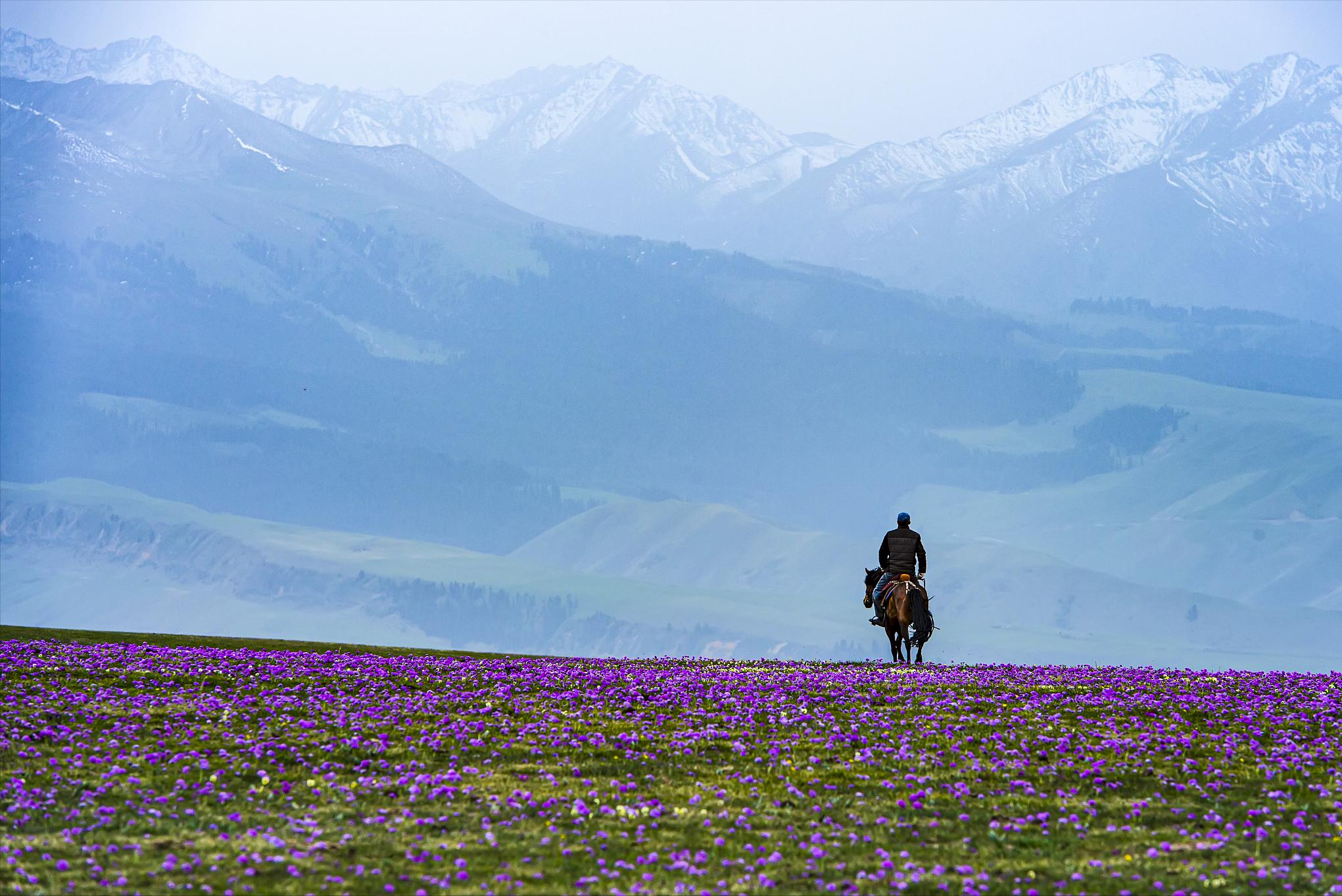 生活中总是各有苦衷和不甘平庸,生活中的不易让人叹息又让人珍惜