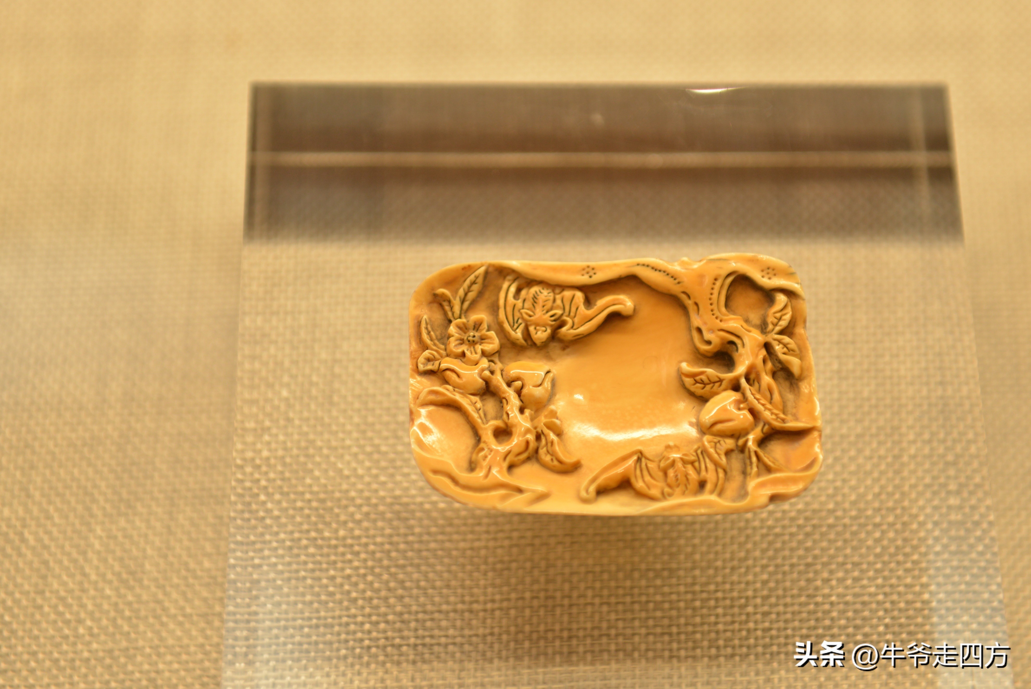 鍖椾含閲戠煶鍗氱墿棣嗗簡浜戝闂ㄧエ,閲戠煶鍗氱墿棣嗗簡浜戝