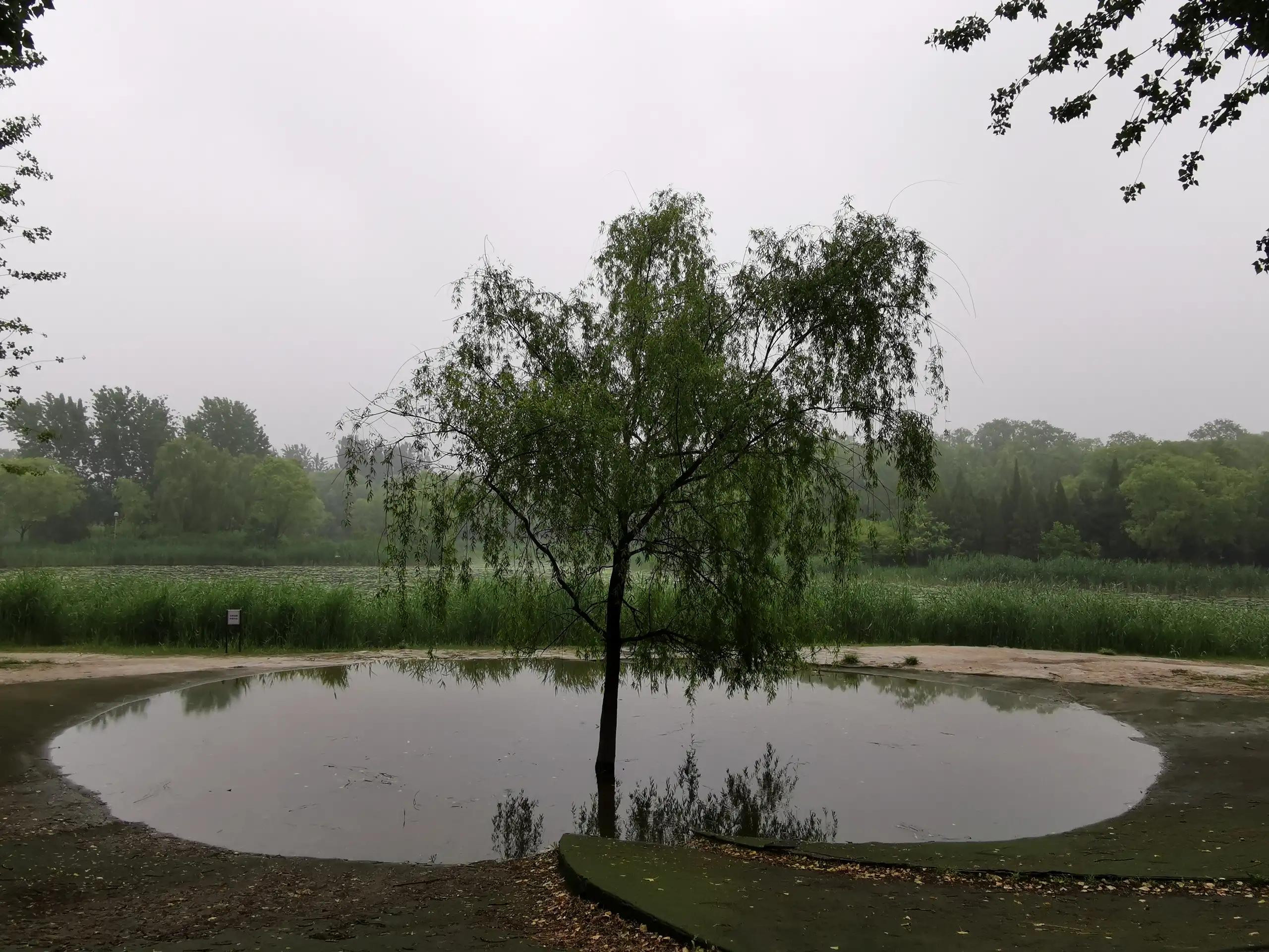 鍝戝反铔愯洂,鍝戝反铦堣潏