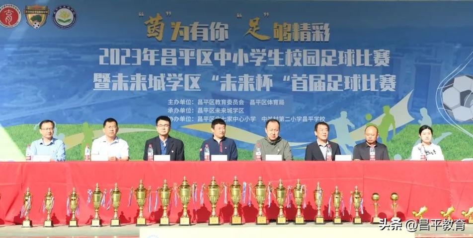 未来城世界杯,未来城杯足球联赛