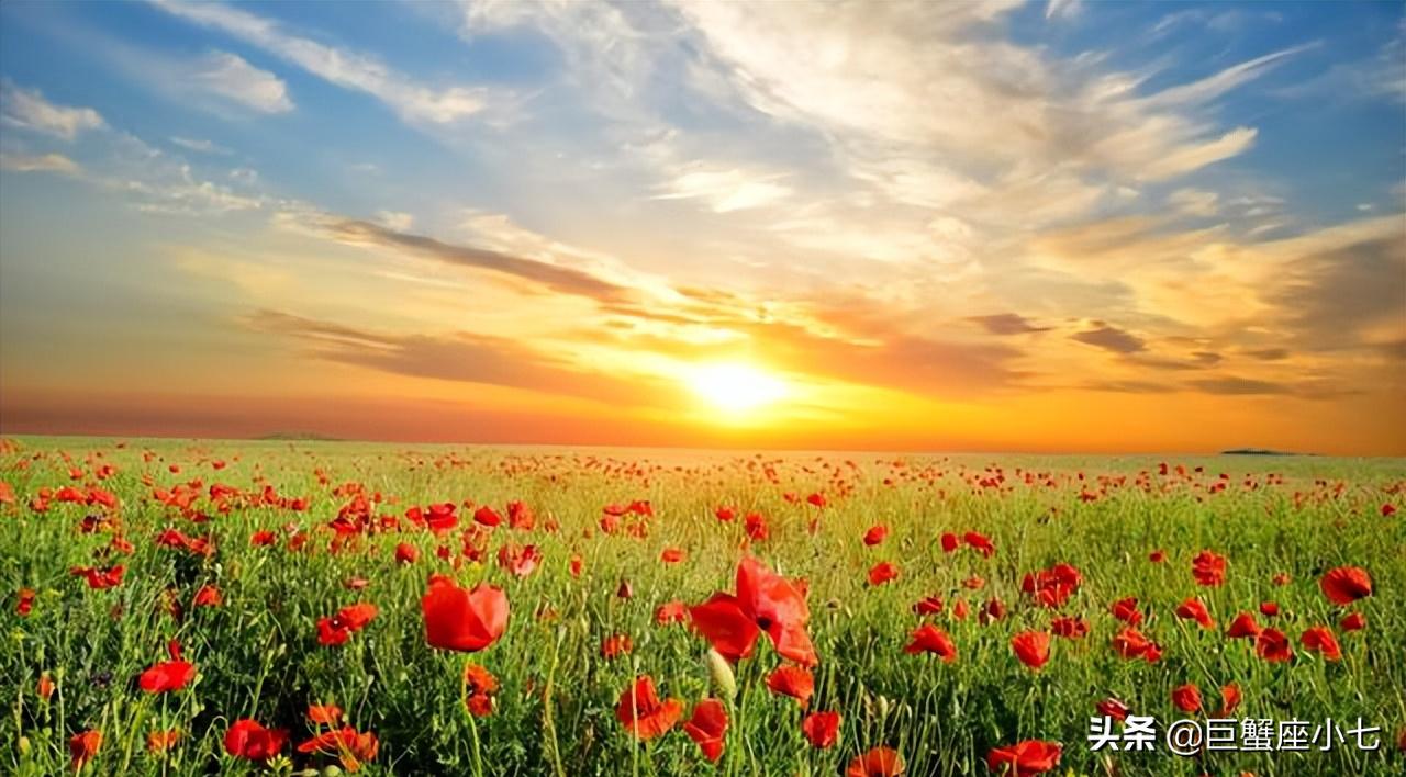 天秤座有你想不到的深情和绝情,天秤座开始对一个人冷淡