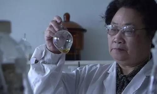 袁隆平研究杂交水稻过程,杂交水稻研究进程表