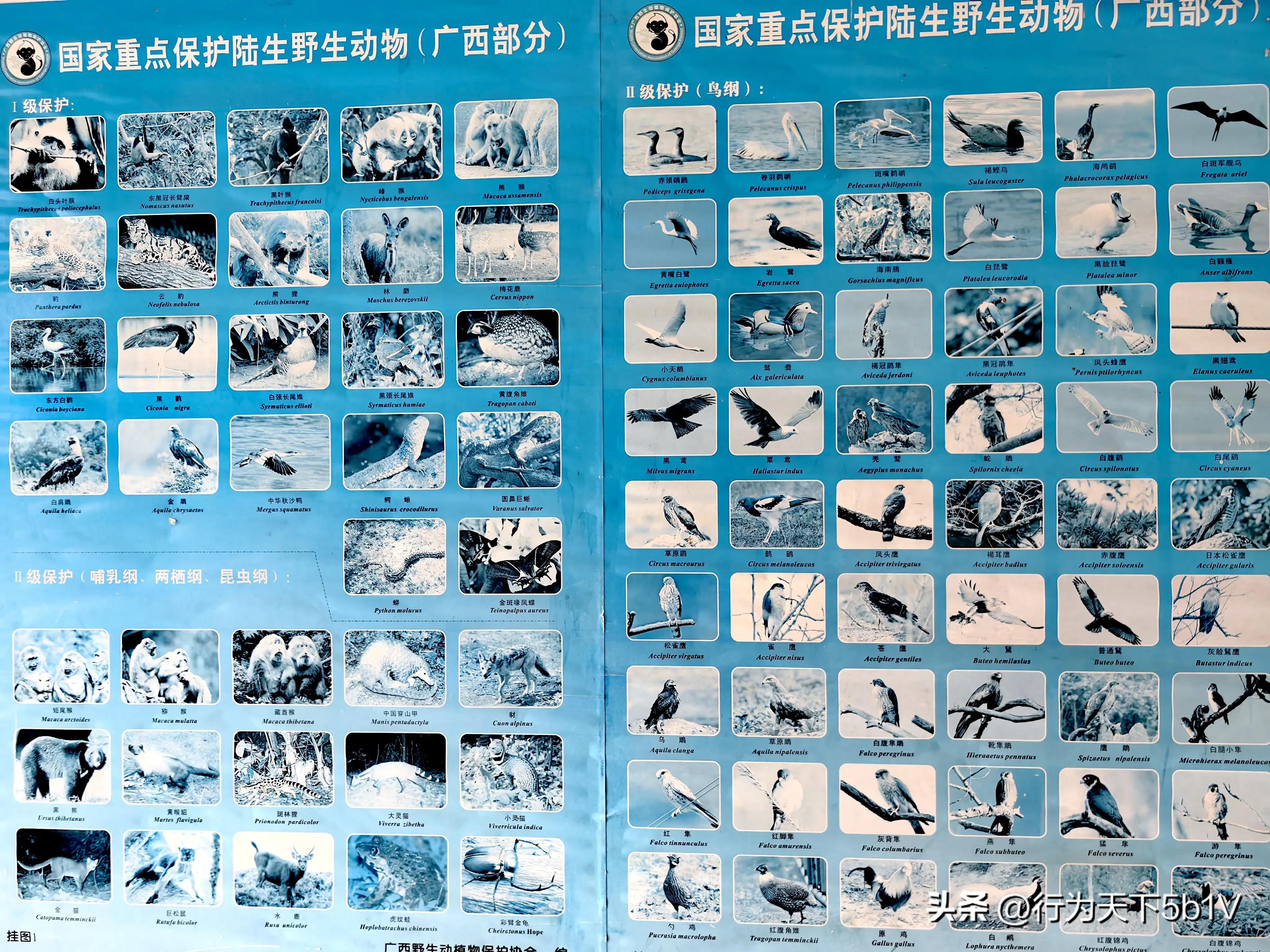 【探秘宛田红滩瀑布溯溪梦江吉翁瀑布】穿越花坪神秘风景线