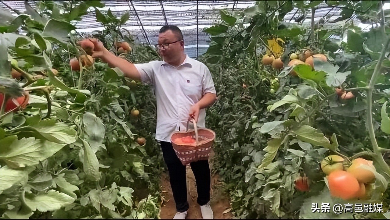 农村致富带头人在乡村振兴总结,乡村振兴战略助农脱贫致富奔小康