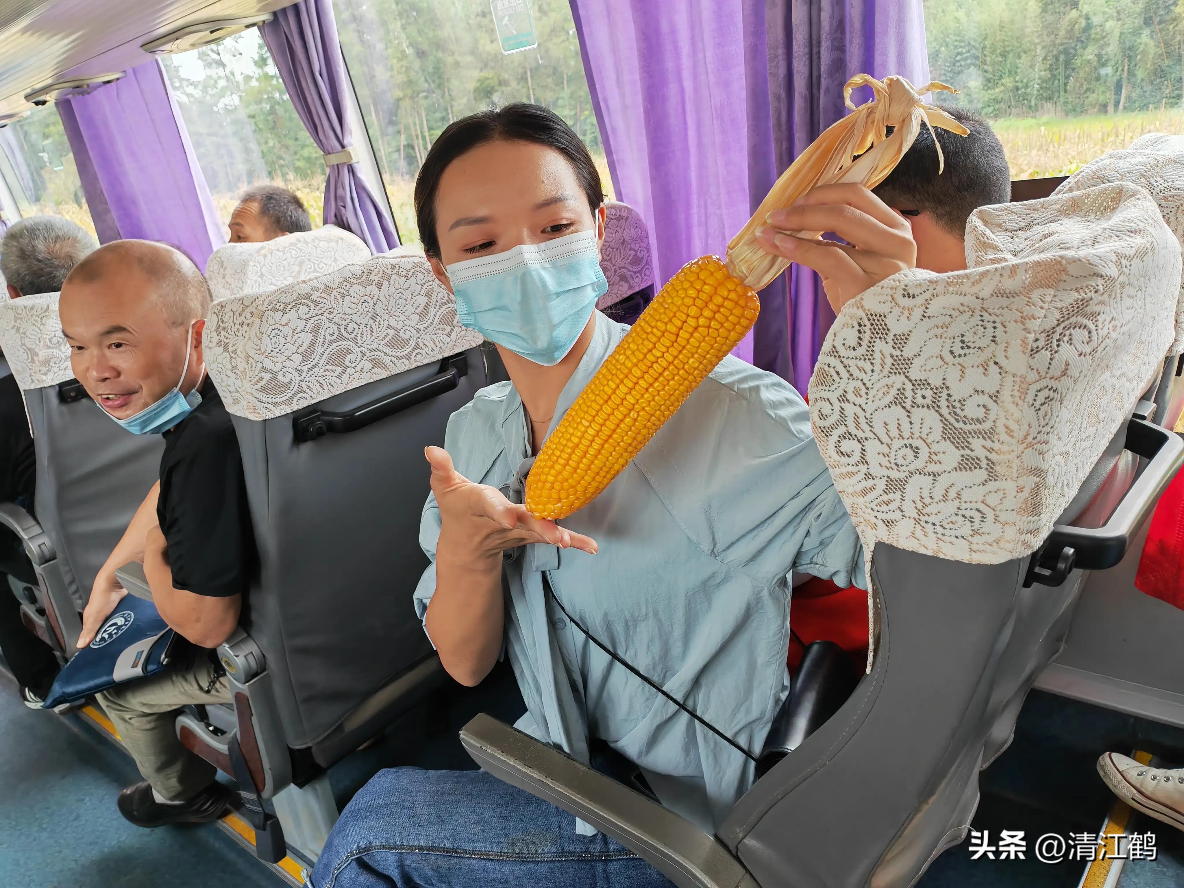 农作物最佳施肥时间和方法,作物长得不旺怎么办