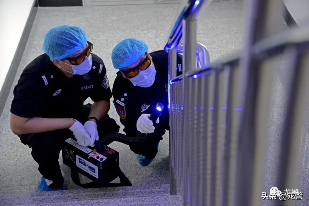 龙警十年，让高质量发展底色更亮