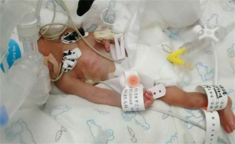 11年前被父母逼零下13度跑的男孩,11年前被父母逼零下10度跑的男孩