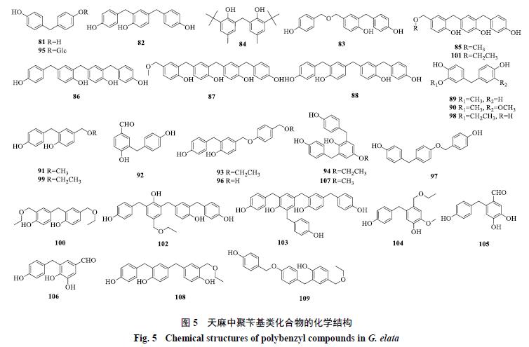 天麻的主要化学成分为什么类,天麻的主要化学成分是什么
