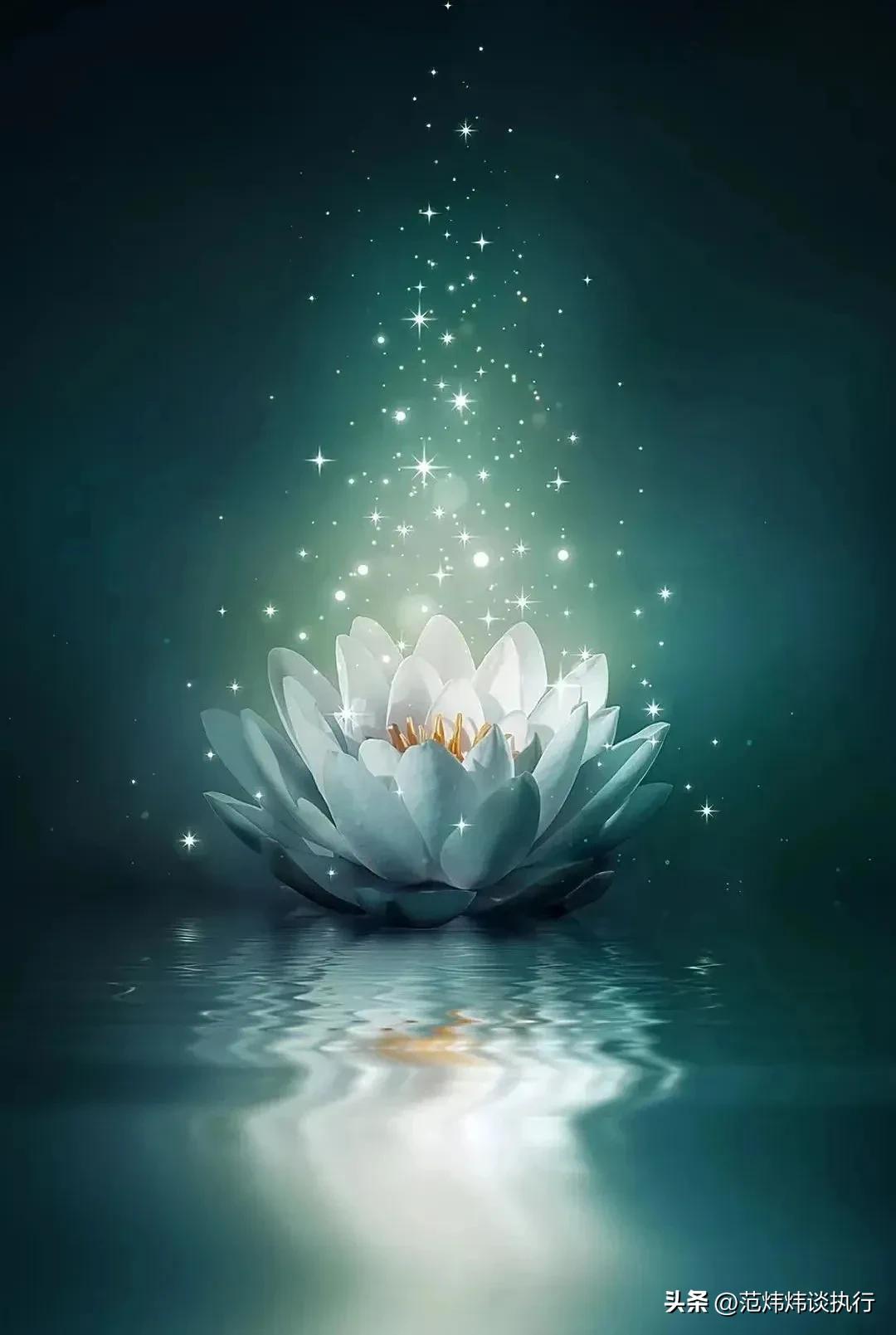 《民事强制执行法（草案）》​草根解读（164）“对上市股票查封”