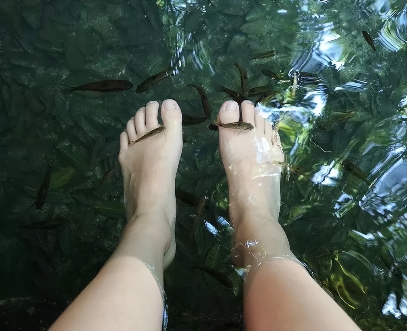 我的六日游——“浪漫之地”杜马盖地