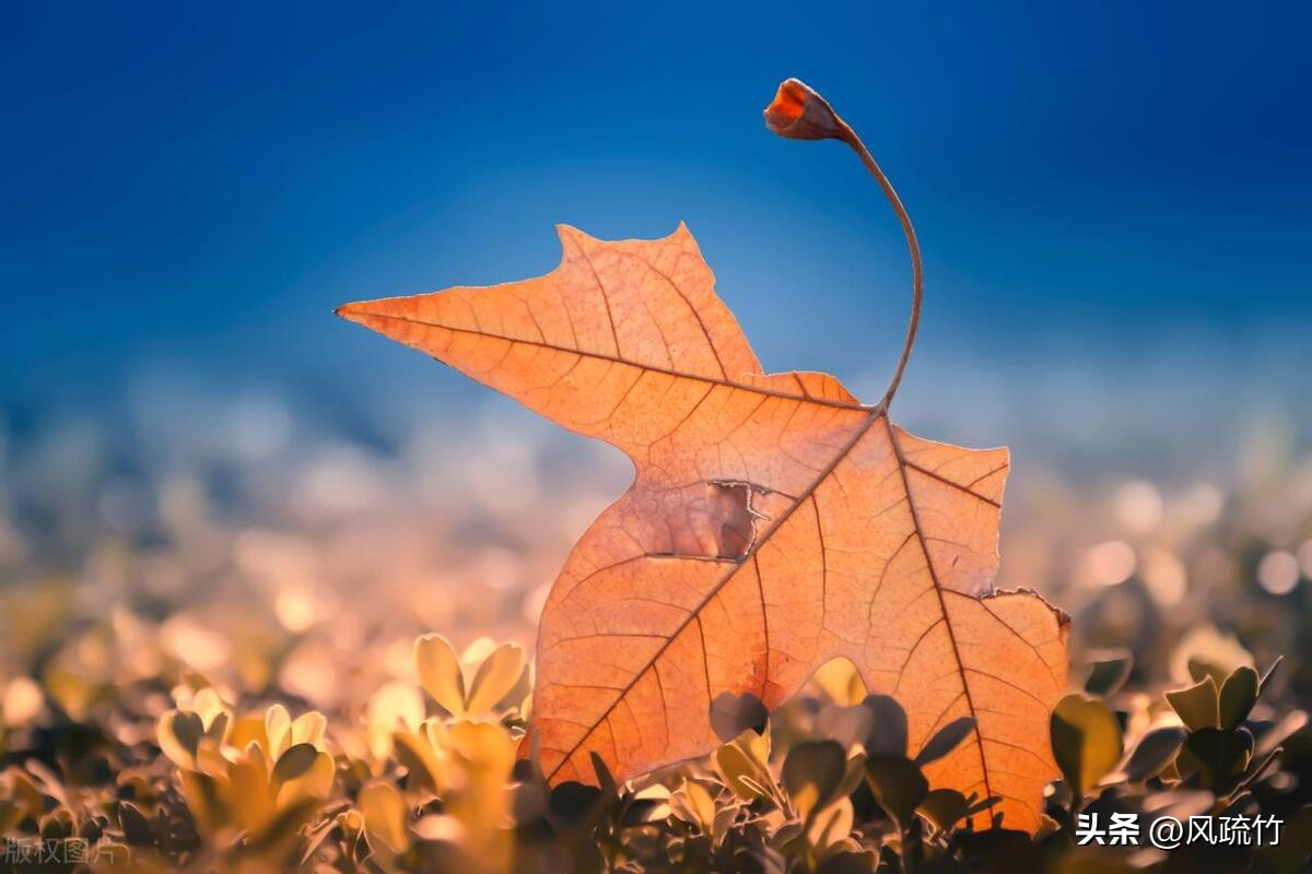 如何面对死亡这件事情,如何面对死亡的书籍