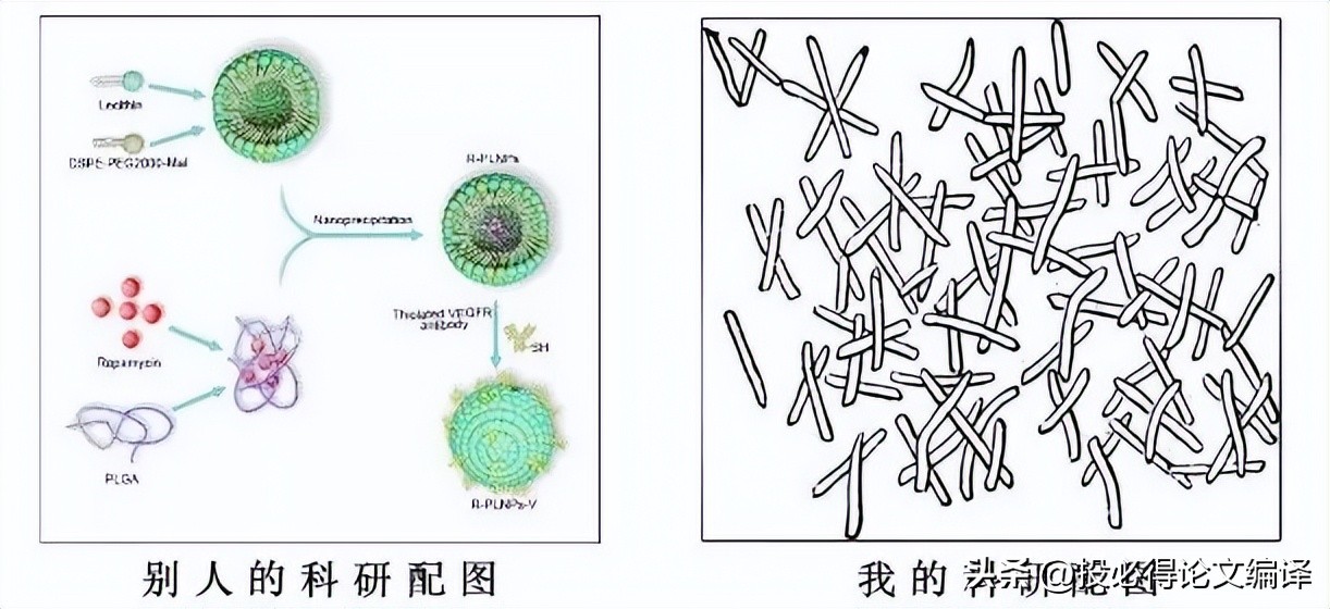 adobe常用的作图软件有哪些,作图软件adobe