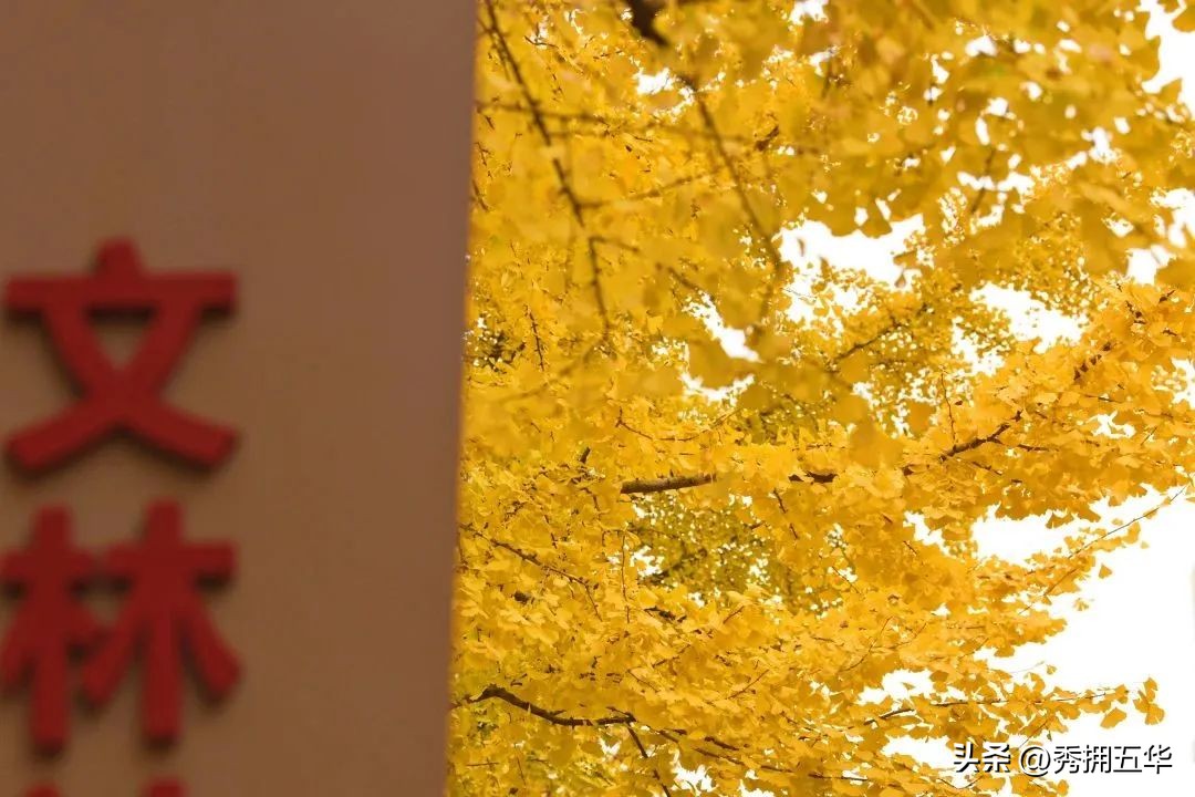 有一种生活叫云南四季,《有一种叫云南的生活》