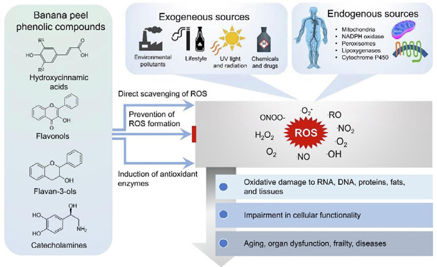 别拿甜果子不当干粮,别拿零食不当干粮