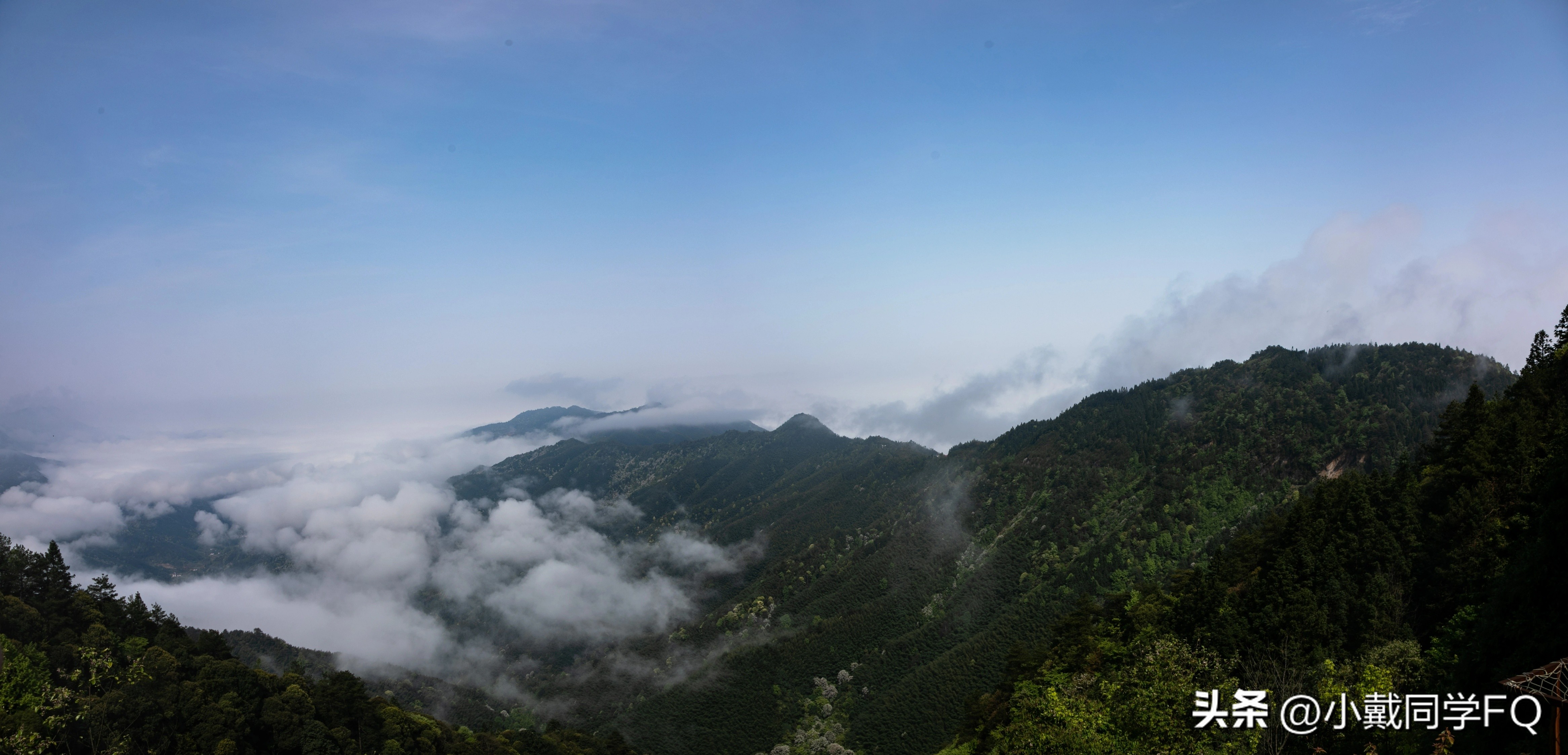 大江西的特产除了出“骚客”，还出什么？反正我知道的不多