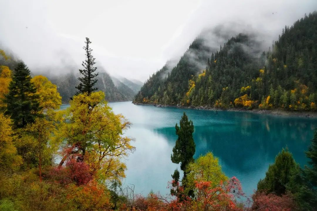 四川不同季节的九寨沟,四川最值得去的九寨沟