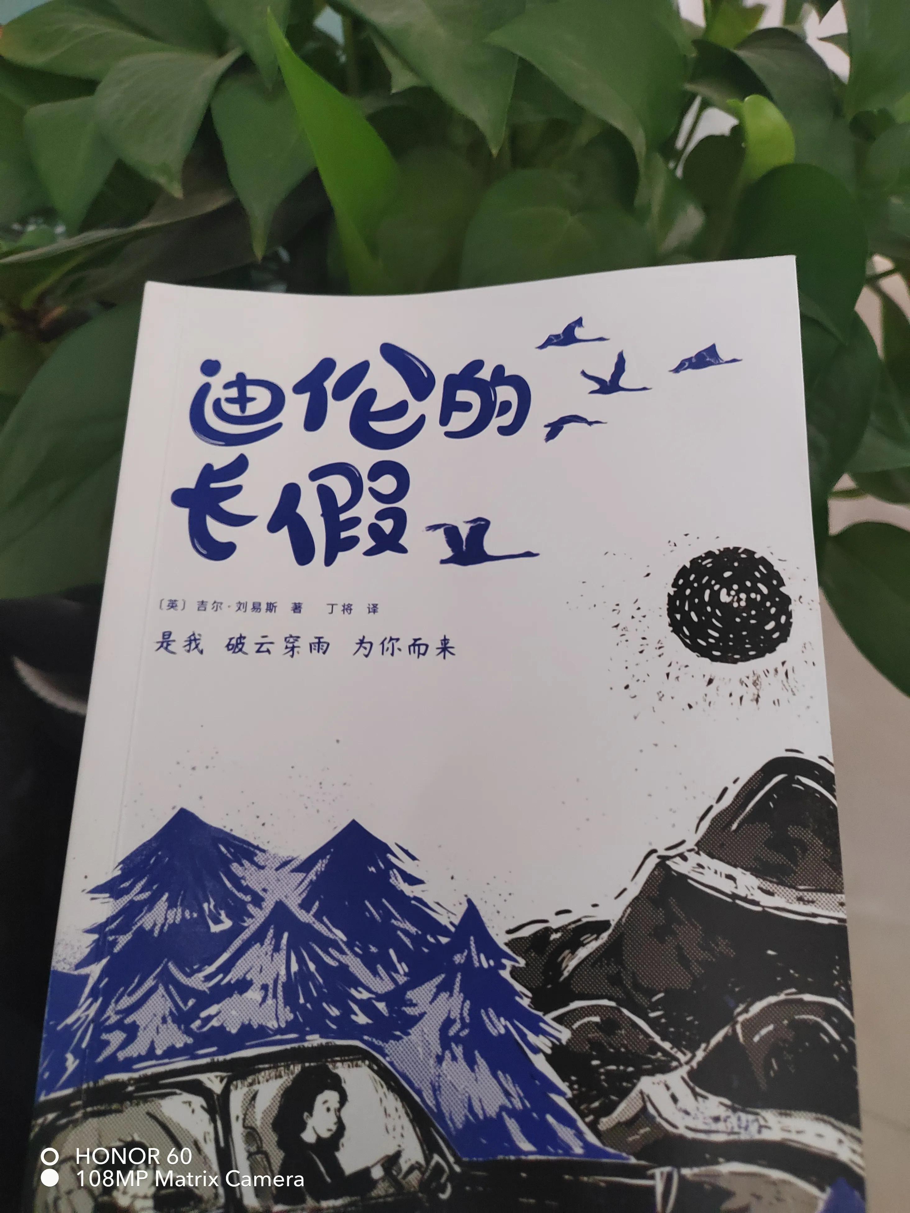 迪伦的长假,迪伦的长假儿童文学