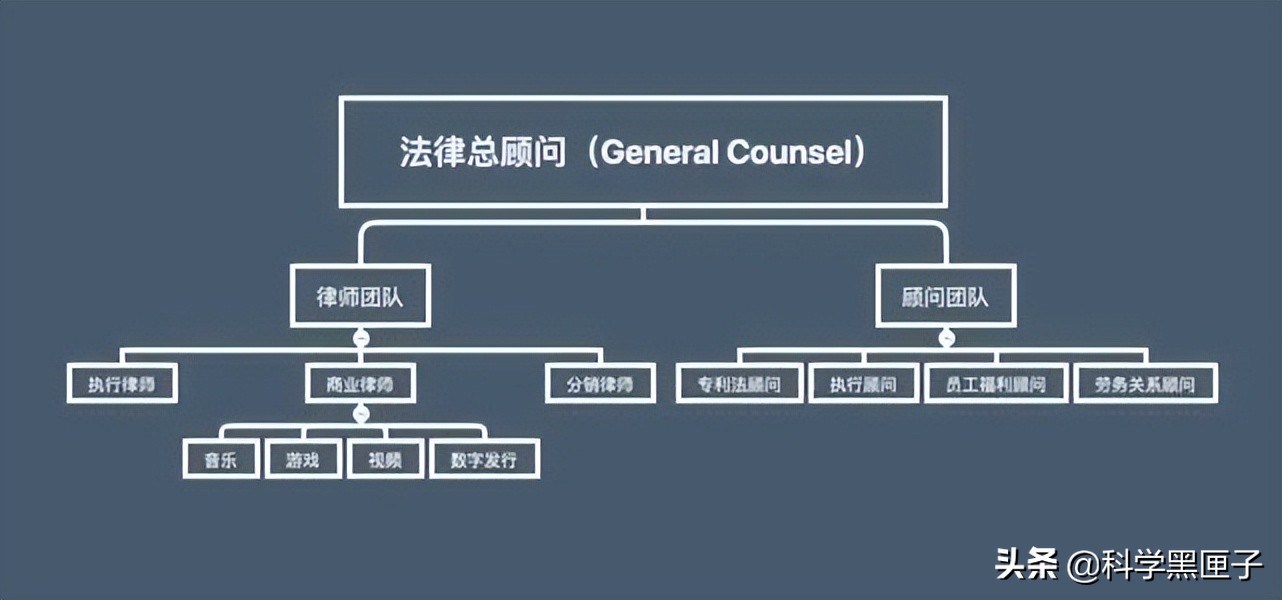 伊丽莎白精神病院讲解,圣伊丽莎白精神病院什么样