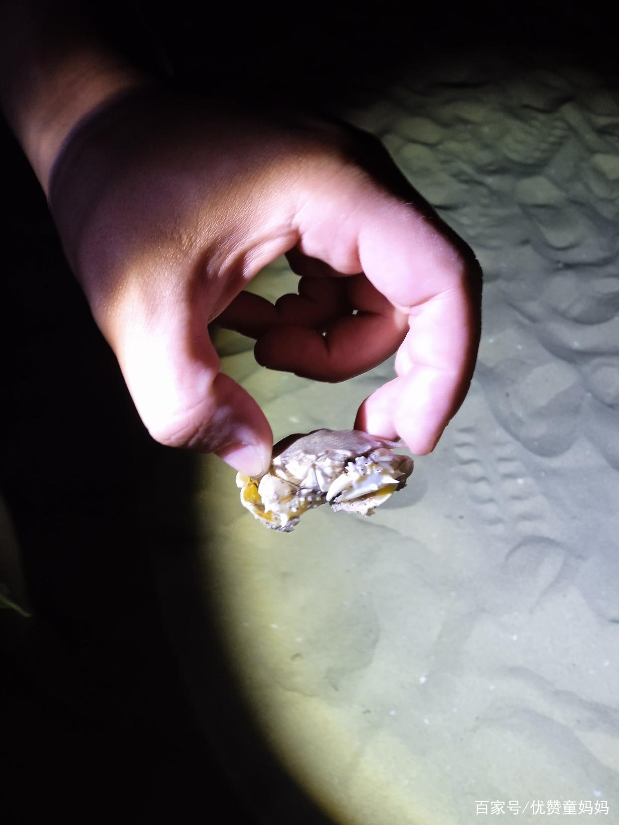 汕尾亲子游记,汕尾旅行攻略三天亲子游