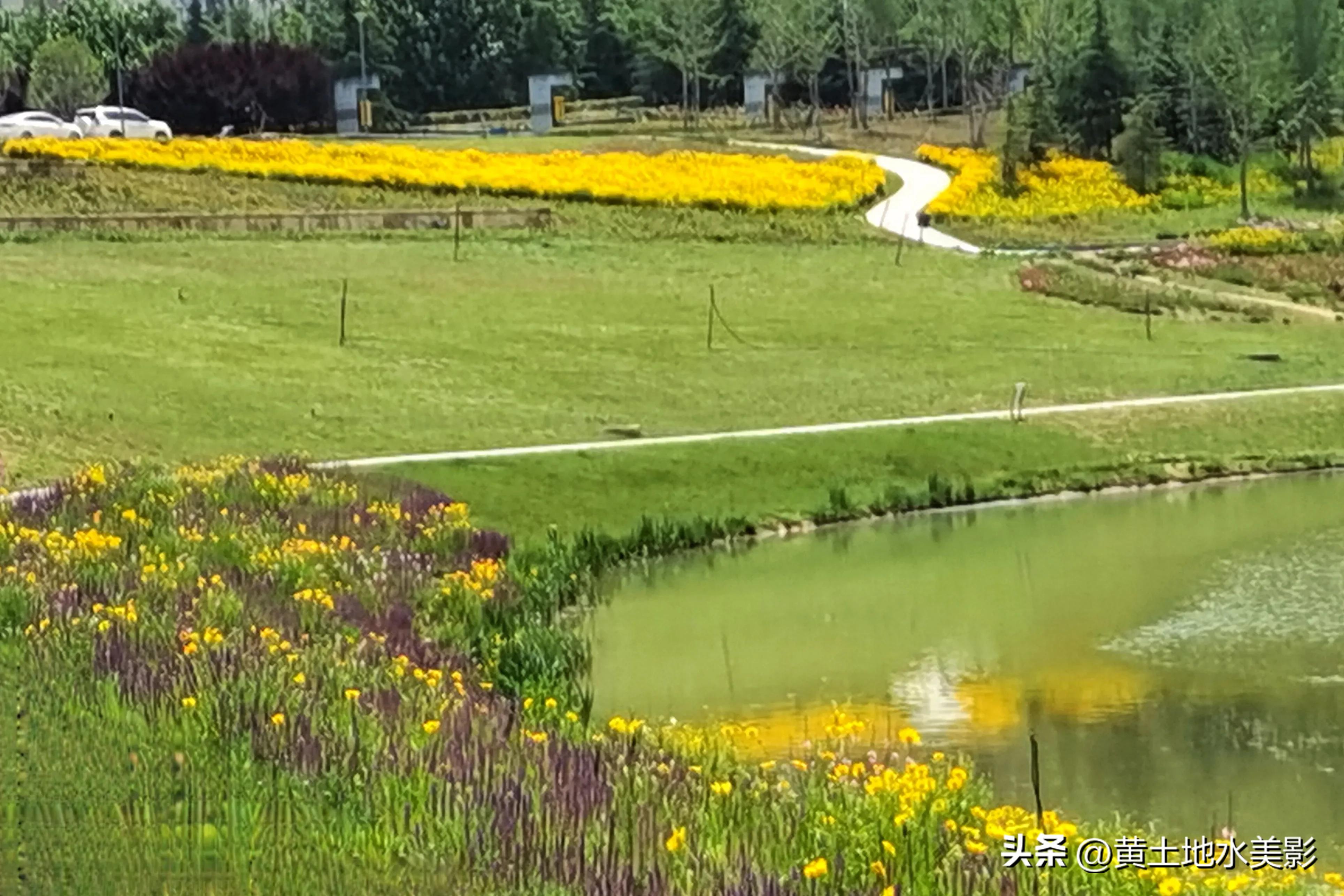 郑州象湖生态公园免费景点推荐,绿湖湿地公园河南