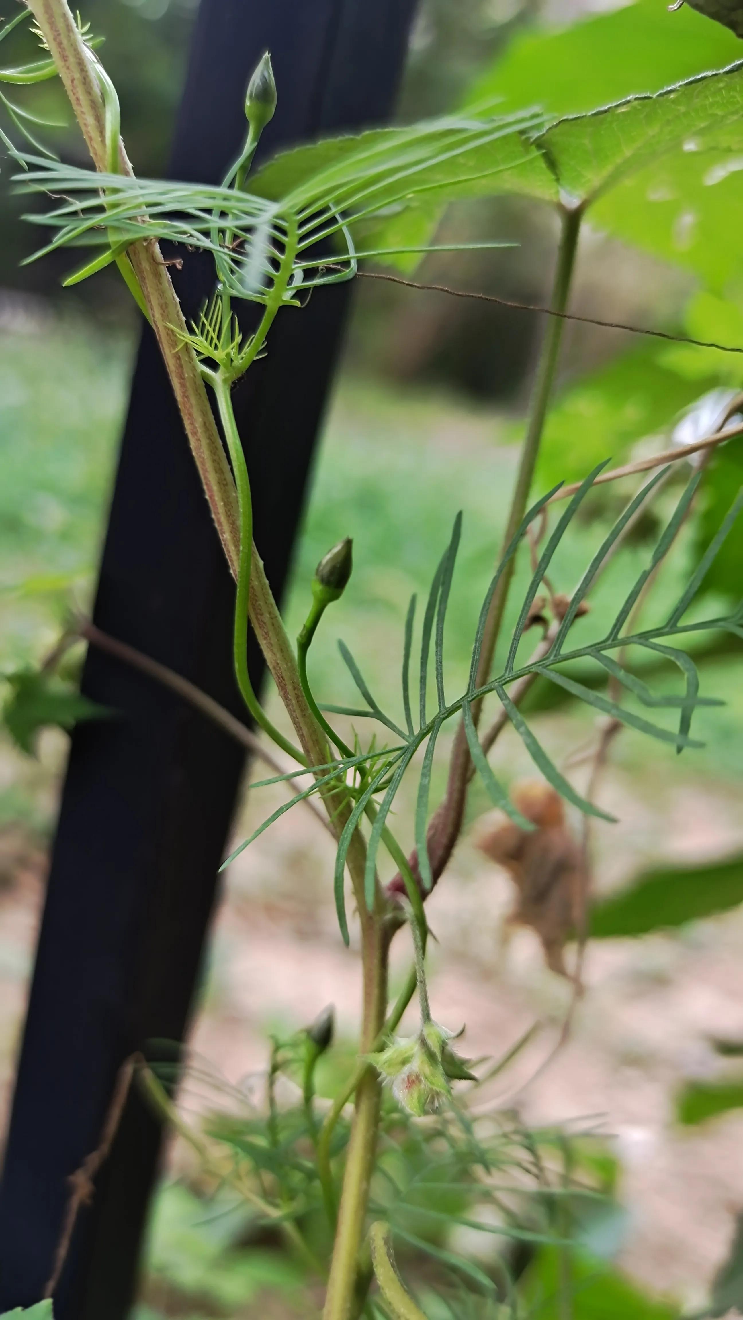 念念不忘必有回响的意思,念念不忘必有回响么