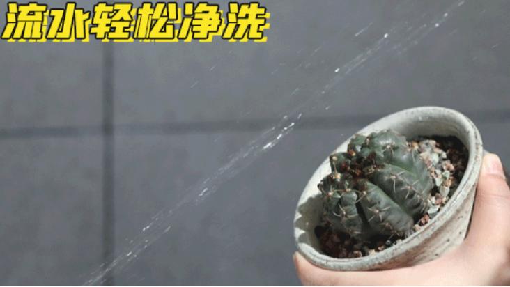 智能马桶让你上厕所无忧无虑,让所有人都用上智能马桶