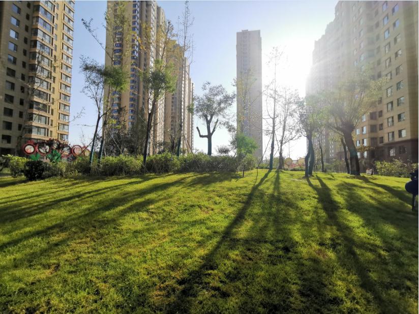 中泽纯境园林简介,中泽纯境园林