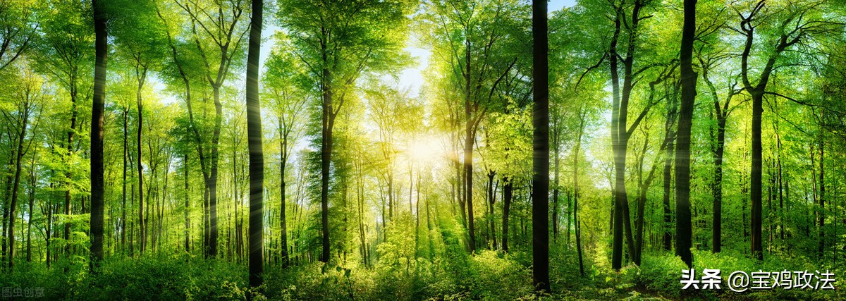 美丽宝鸡简介,美丽宝鸡