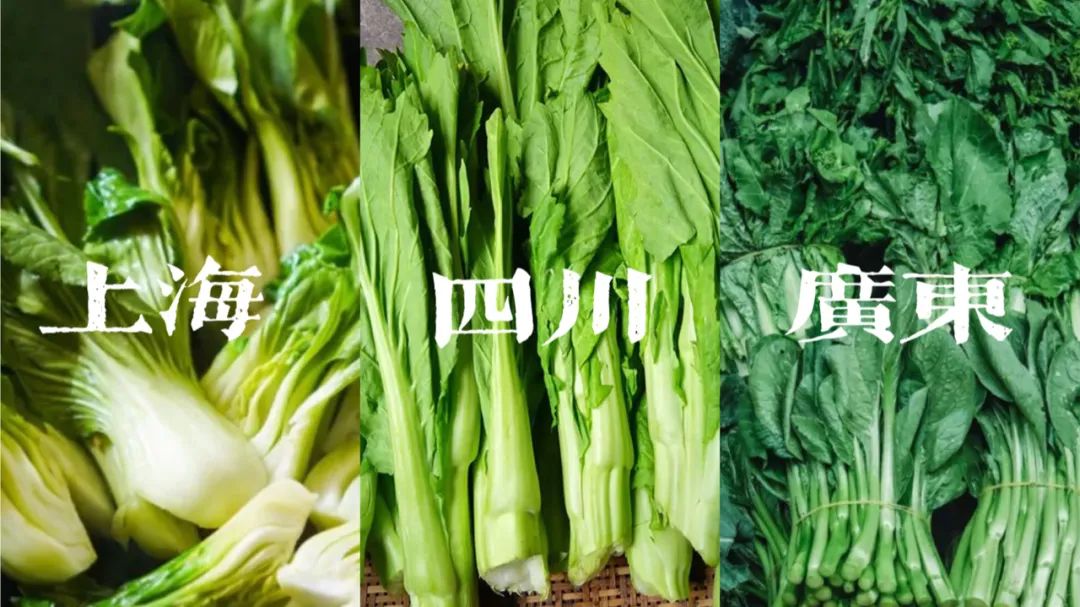 当一个南方人在北方吃西瓜,当一个南方人在北方点一个菜