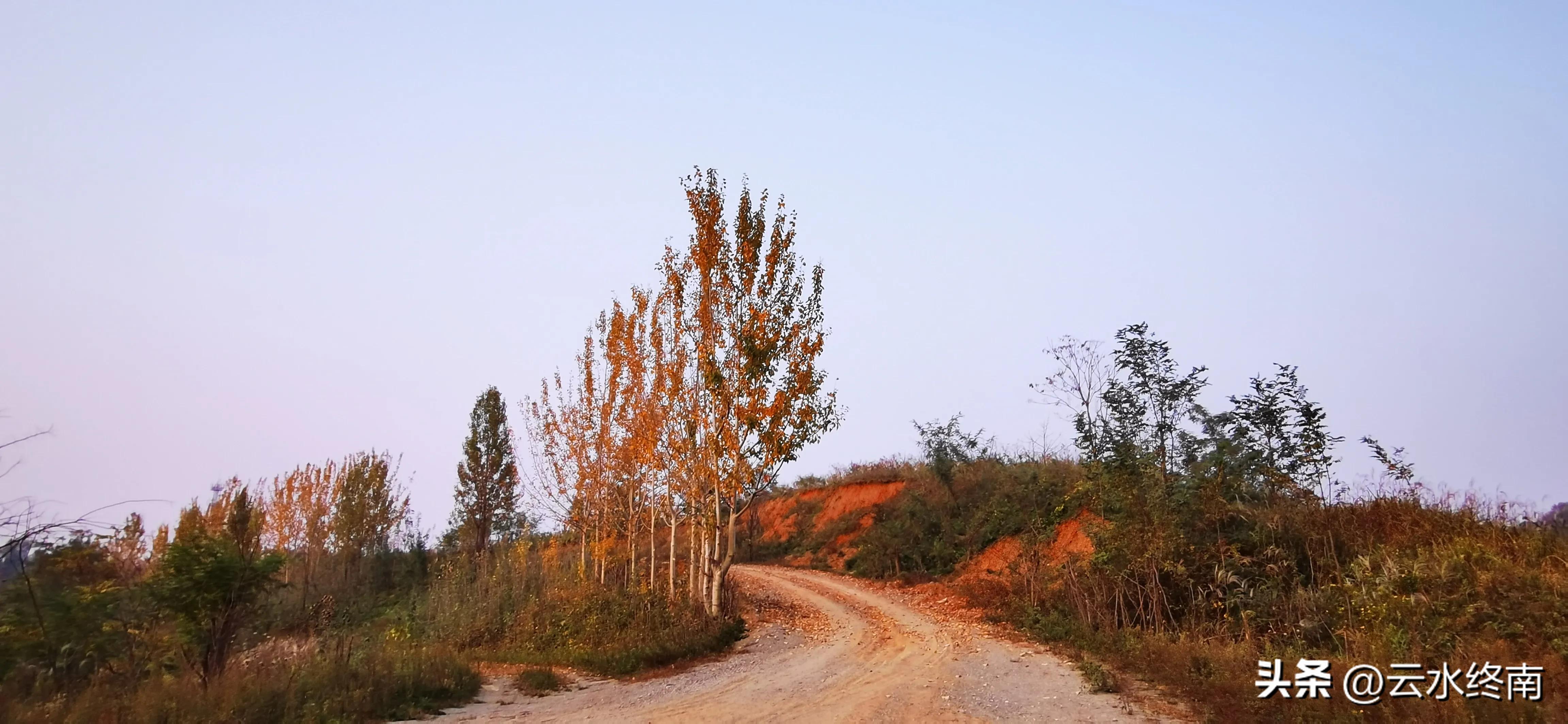 享个清福！到少有人知的峙峪看看漫山红叶，喝喝住山人清茶